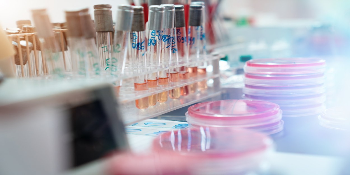 How is Modern Technology in Medical Laboratories Transforming Healthcare Outcomes?